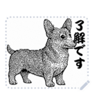 犬の メッセージ スタンプ 10（個別スタンプ：9）