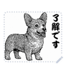 犬の メッセージ スタンプ 10（個別スタンプ：14）
