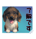 子犬の メッセージ スタンプ 31（個別スタンプ：1）
