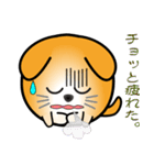 nobobi 丸わんこ3（個別スタンプ：25）