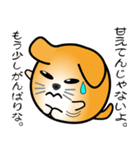 nobobi 丸わんこ3（個別スタンプ：27）