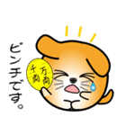 nobobi 丸わんこ3（個別スタンプ：40）