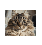 動く！猫でリアクション（個別スタンプ：2）