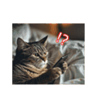 動く！猫でリアクション（個別スタンプ：5）