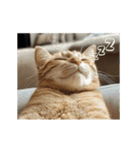 動く！猫でリアクション（個別スタンプ：12）