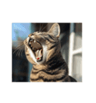 動く！猫でリアクション（個別スタンプ：13）