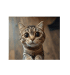 動く！猫でリアクション（個別スタンプ：15）