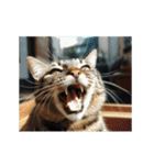 動く！猫でリアクション（個別スタンプ：17）