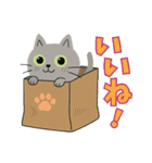 猫のオリバー（個別スタンプ：14）