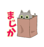 猫のオリバー（個別スタンプ：16）