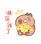 カピバラ夏祭りのかわいい会話（個別スタンプ：8）