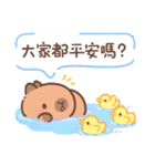 カピバラ夏祭りのかわいい会話（個別スタンプ：17）