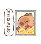 カピバラ夏祭りのかわいい会話（個別スタンプ：18）