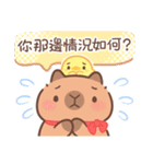 カピバラ夏祭りのかわいい会話（個別スタンプ：20）
