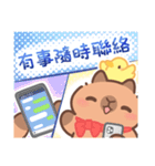 カピバラ夏祭りのかわいい会話（個別スタンプ：22）
