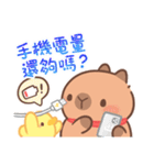 カピバラ夏祭りのかわいい会話（個別スタンプ：37）