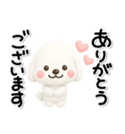 ず～っと使える♡かわいいトイプーさん♡白（個別スタンプ：6）
