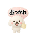 ず～っと使える♡かわいいトイプーさん♡白（個別スタンプ：7）