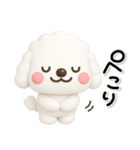 ず～っと使える♡かわいいトイプーさん♡白（個別スタンプ：20）