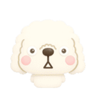 ず～っと使える♡かわいいトイプーさん♡白（個別スタンプ：36）