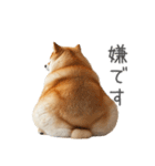 実は太ってる柴犬【面白い】（個別スタンプ：4）