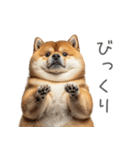 実は太ってる柴犬【面白い】（個別スタンプ：7）