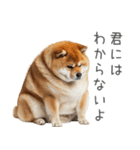 実は太ってる柴犬【面白い】（個別スタンプ：9）