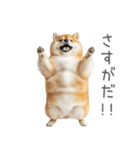 実は太ってる柴犬【面白い】（個別スタンプ：12）