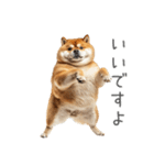 実は太ってる柴犬【面白い】（個別スタンプ：17）