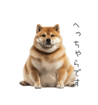 実は太ってる柴犬【面白い】（個別スタンプ：18）