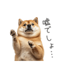 実は太ってる柴犬【面白い】（個別スタンプ：25）