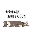 今日も柴犬が可愛い5 -黒柴-（個別スタンプ：5）