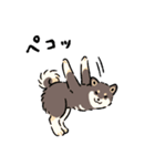 今日も柴犬が可愛い5 -黒柴-（個別スタンプ：6）