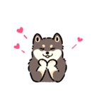 今日も柴犬が可愛い5 -黒柴-（個別スタンプ：9）