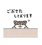 今日も柴犬が可愛い5 -黒柴-（個別スタンプ：11）