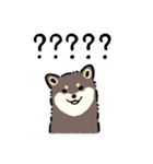 今日も柴犬が可愛い5 -黒柴-（個別スタンプ：17）
