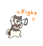 今日も柴犬が可愛い5 -黒柴-（個別スタンプ：18）