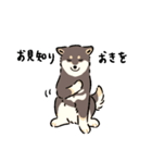 今日も柴犬が可愛い5 -黒柴-（個別スタンプ：20）