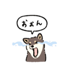 今日も柴犬が可愛い5 -黒柴-（個別スタンプ：21）