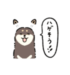 今日も柴犬が可愛い5 -黒柴-（個別スタンプ：22）