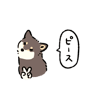 今日も柴犬が可愛い5 -黒柴-（個別スタンプ：25）