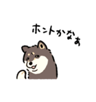 今日も柴犬が可愛い5 -黒柴-（個別スタンプ：34）