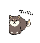 今日も柴犬が可愛い5 -黒柴-（個別スタンプ：35）