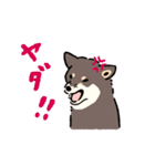 今日も柴犬が可愛い5 -黒柴-（個別スタンプ：39）