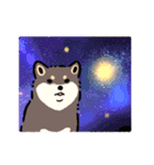 今日も柴犬が可愛い5 -黒柴-（個別スタンプ：40）