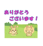 【探しやすい】うさ・デカ文字スタンプ（個別スタンプ：1）