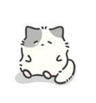 またきたよ（個別スタンプ：18）