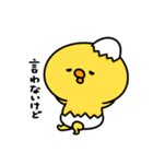 まいにちひよっこツンデレ（個別スタンプ：12）