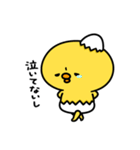 まいにちひよっこツンデレ（個別スタンプ：16）