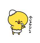 まいにちひよっこツンデレ（個別スタンプ：24）
